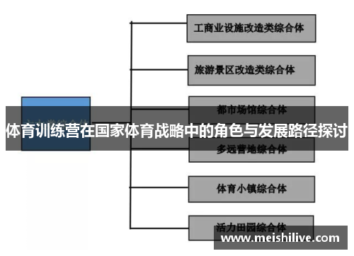体育训练营在国家体育战略中的角色与发展路径探讨