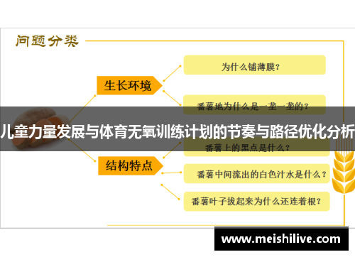 儿童力量发展与体育无氧训练计划的节奏与路径优化分析